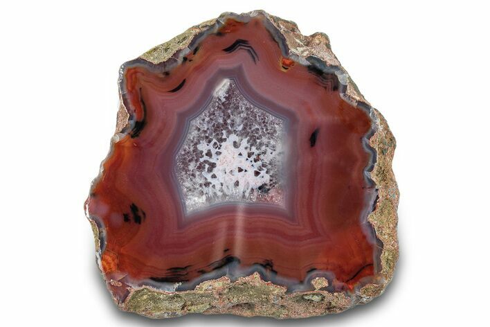 Colorful, Polished Condor Agate - Argentina #277705